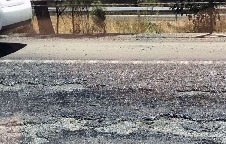 Ngay nong nhat Sydney anh 6