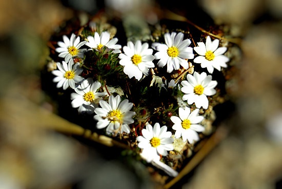 Hãy tôn trọng khoảng trời riêng của trái tim nhé.