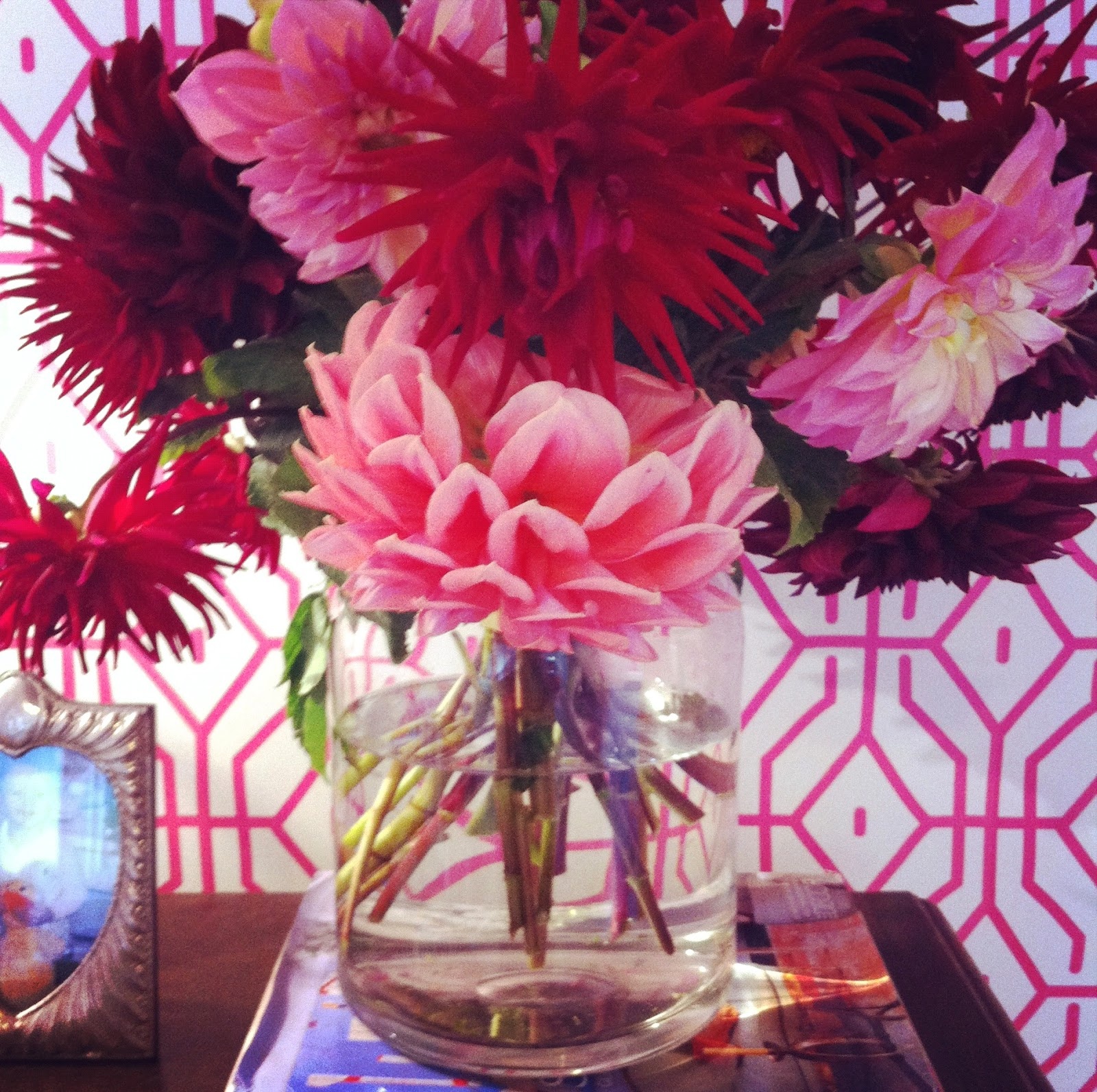 Bò Cạp làm đẹp cho không gian sống.