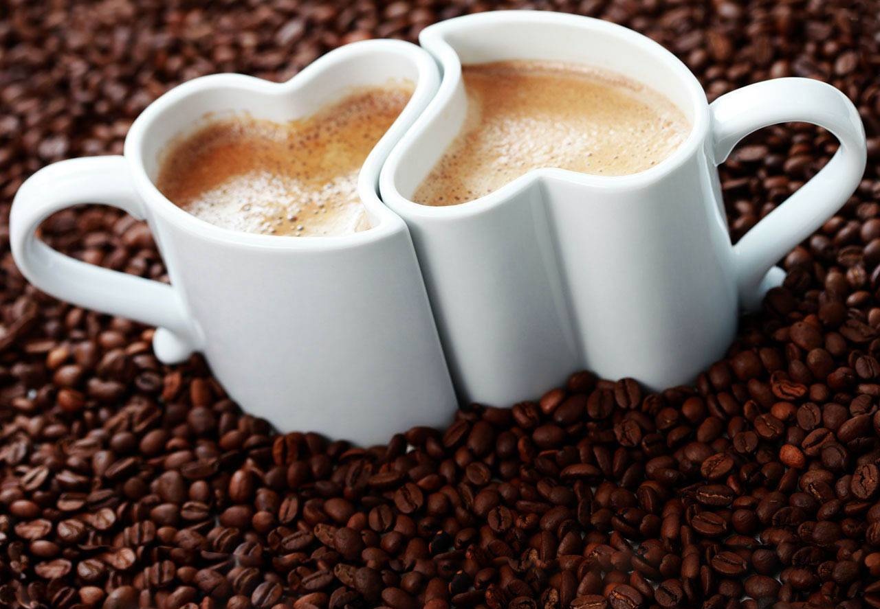 Bò Cạp hẹn hò, thắt chặt tình cảm.