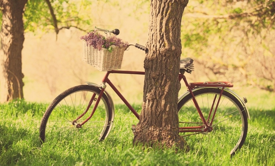 Thu bay cua ban (1/11) hinh anh