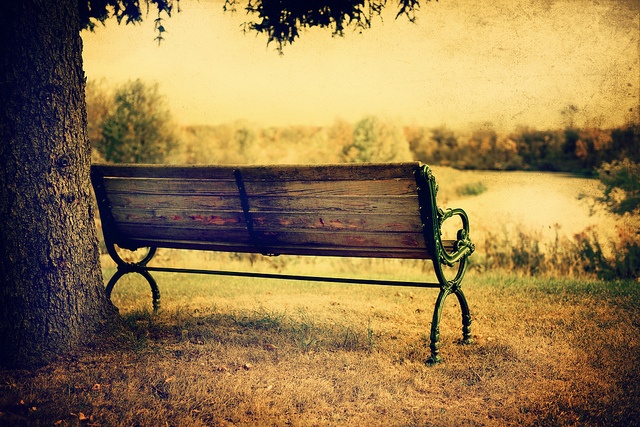 Thu bay cua ban (8/11) hinh anh