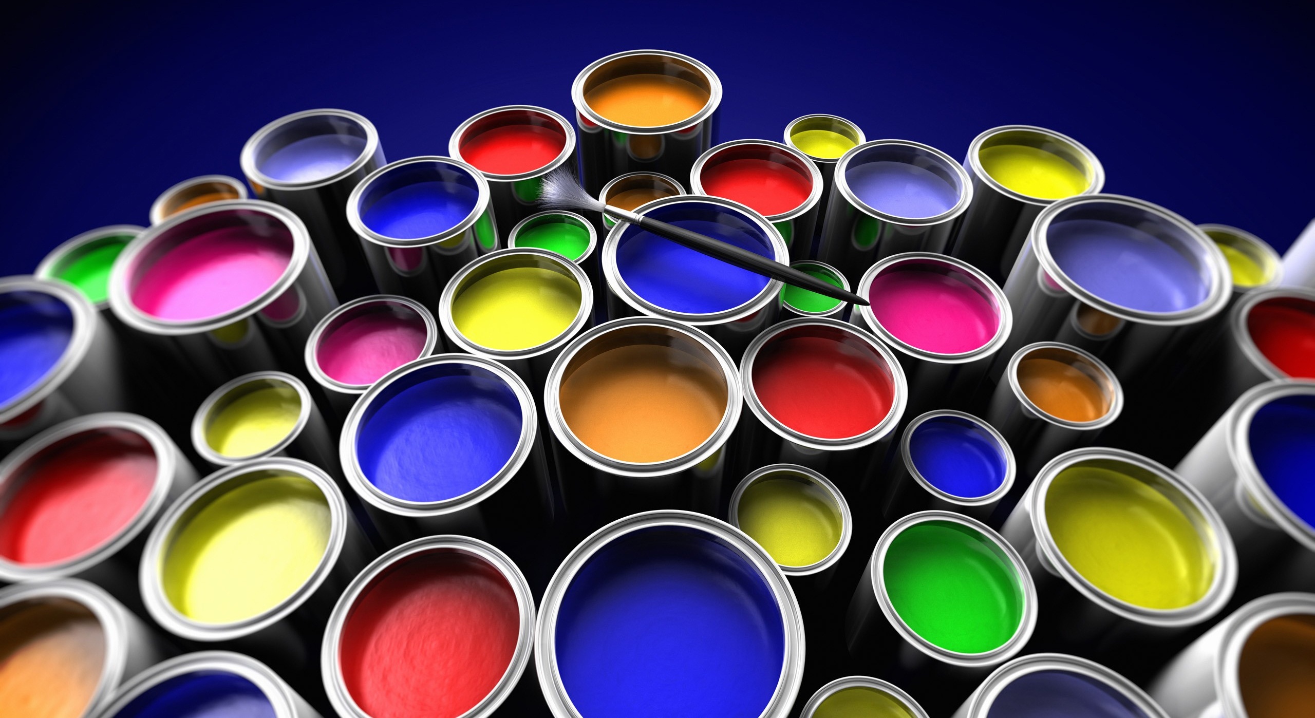 Thu ba cua ban (11/11) hinh anh