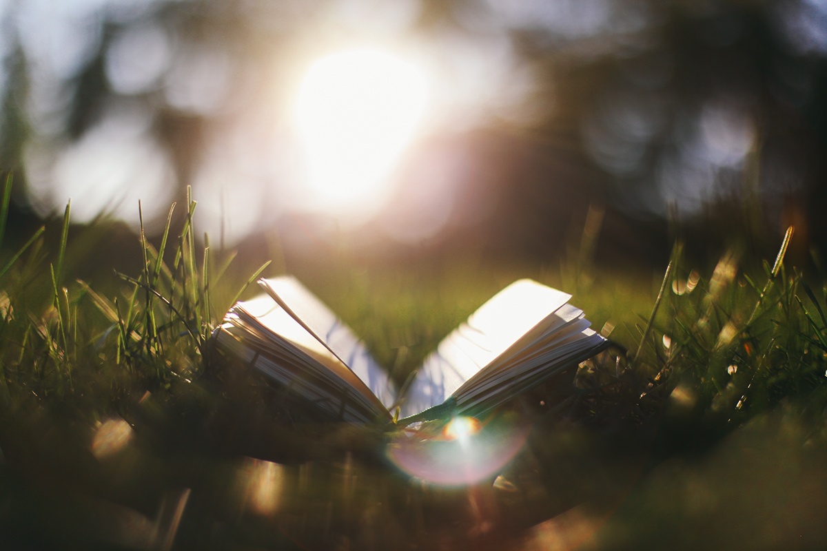 Thu nam cua ban (27/11) hinh anh