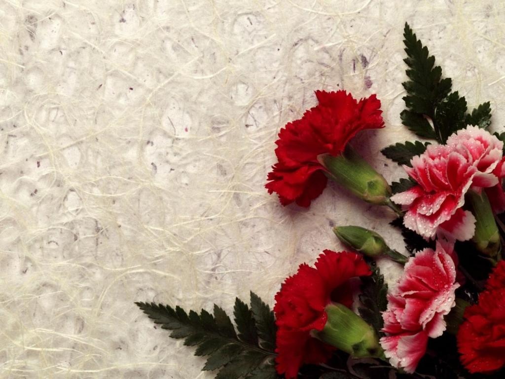 Thu hai cua ban (8/12) hinh anh