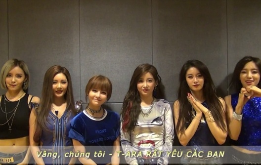 Hari Won lam MC show cua T-ara o Viet Nam hinh anh