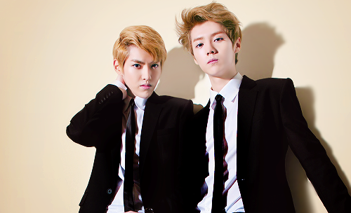 Luhan (EXO) va SM hoa giai that bai hinh anh