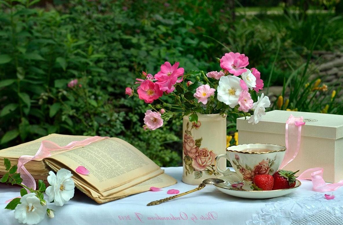 Thu sau cua ban (26/12) hinh anh