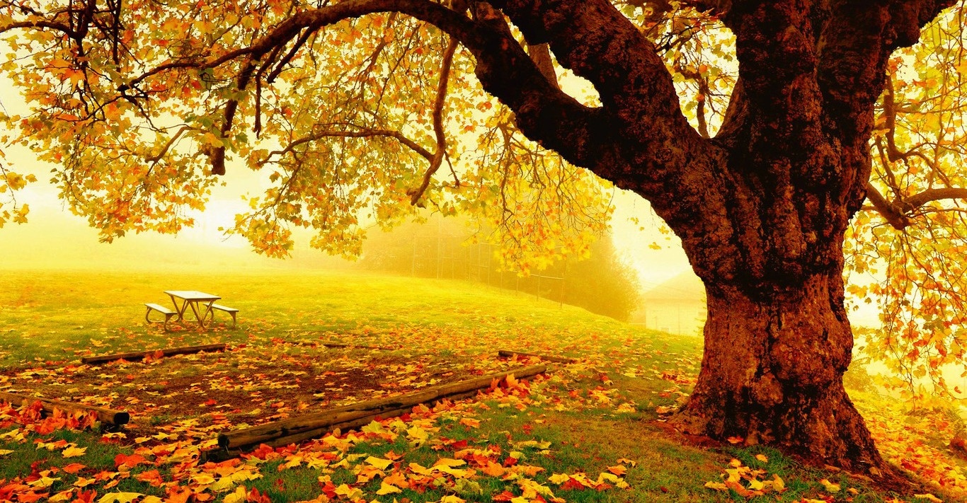 Thu nam cua ban (8/1) hinh anh