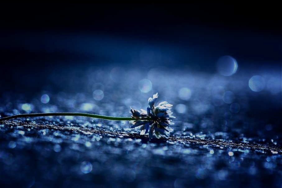 Thu bay cua ban (7/2) hinh anh