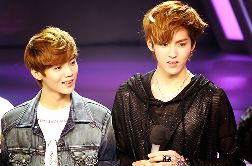 Ong lon Han kien Kris va Luhan hoat dong chui hinh anh