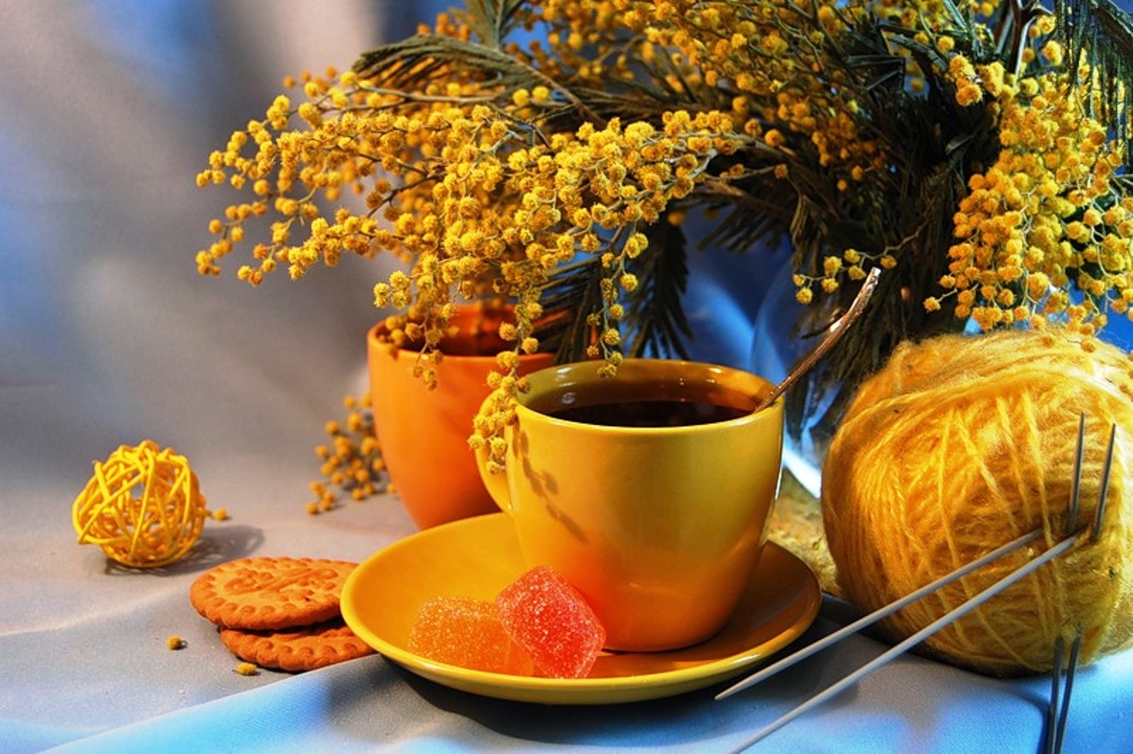 Tuan moi cua ban (9-15/2) hinh anh