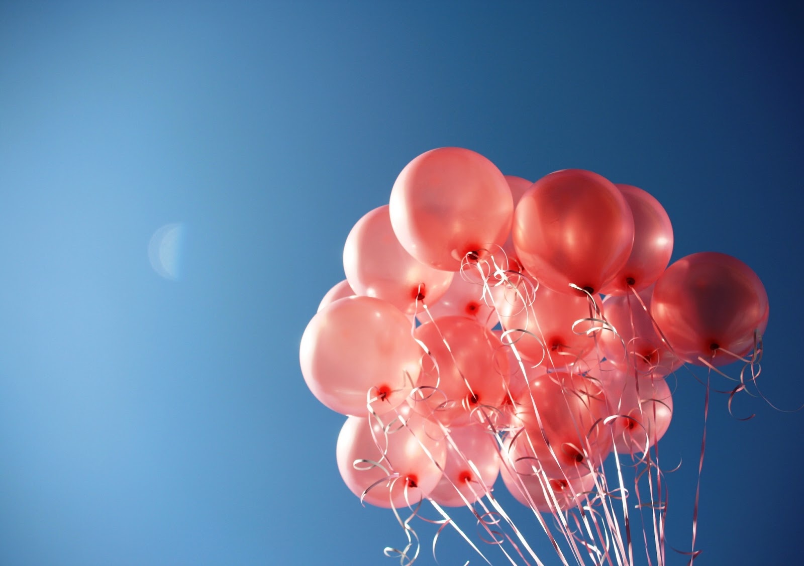 Thu nam cua ban (19/2) hinh anh