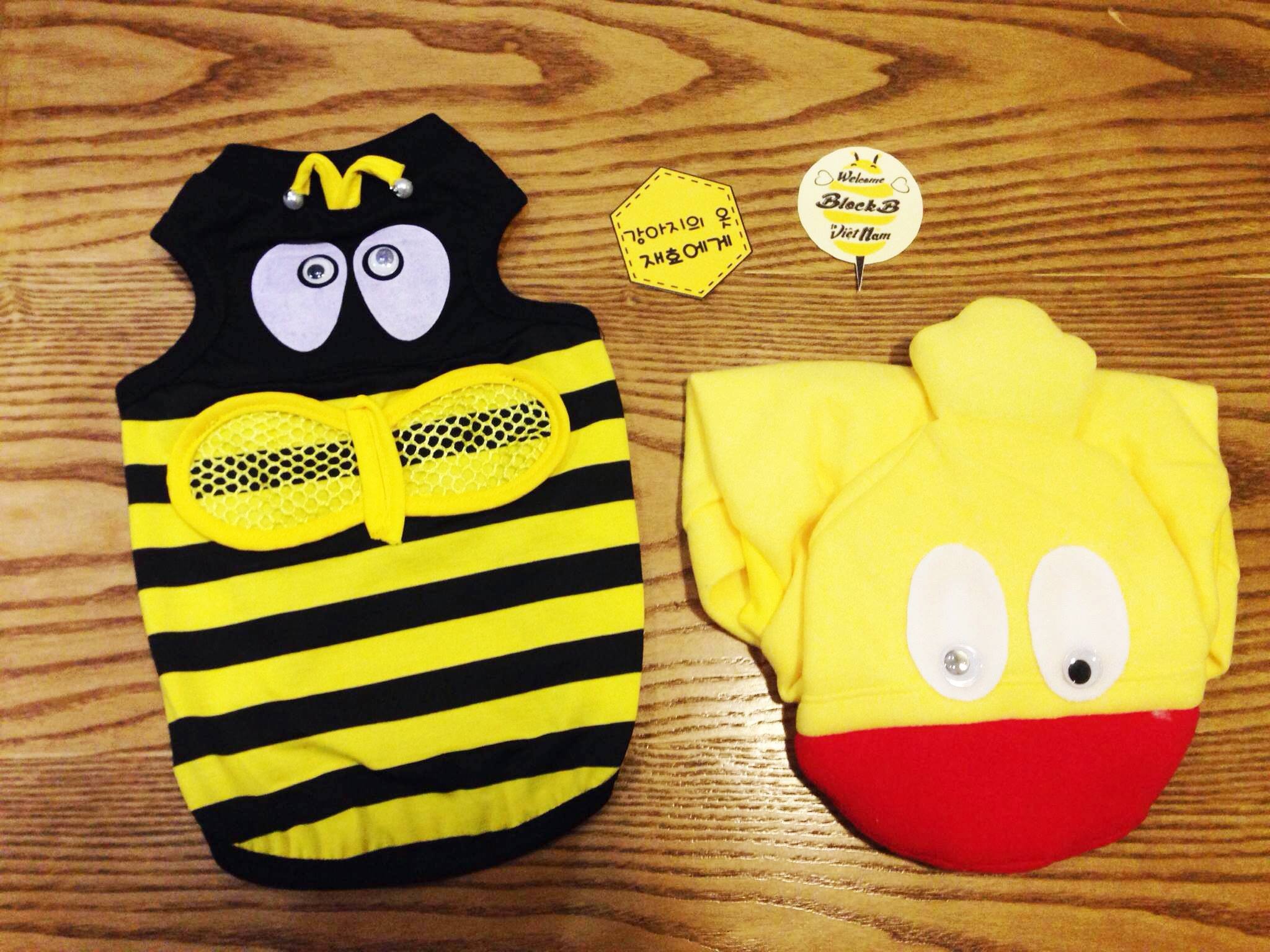 Fansite Block B Vietnam mua