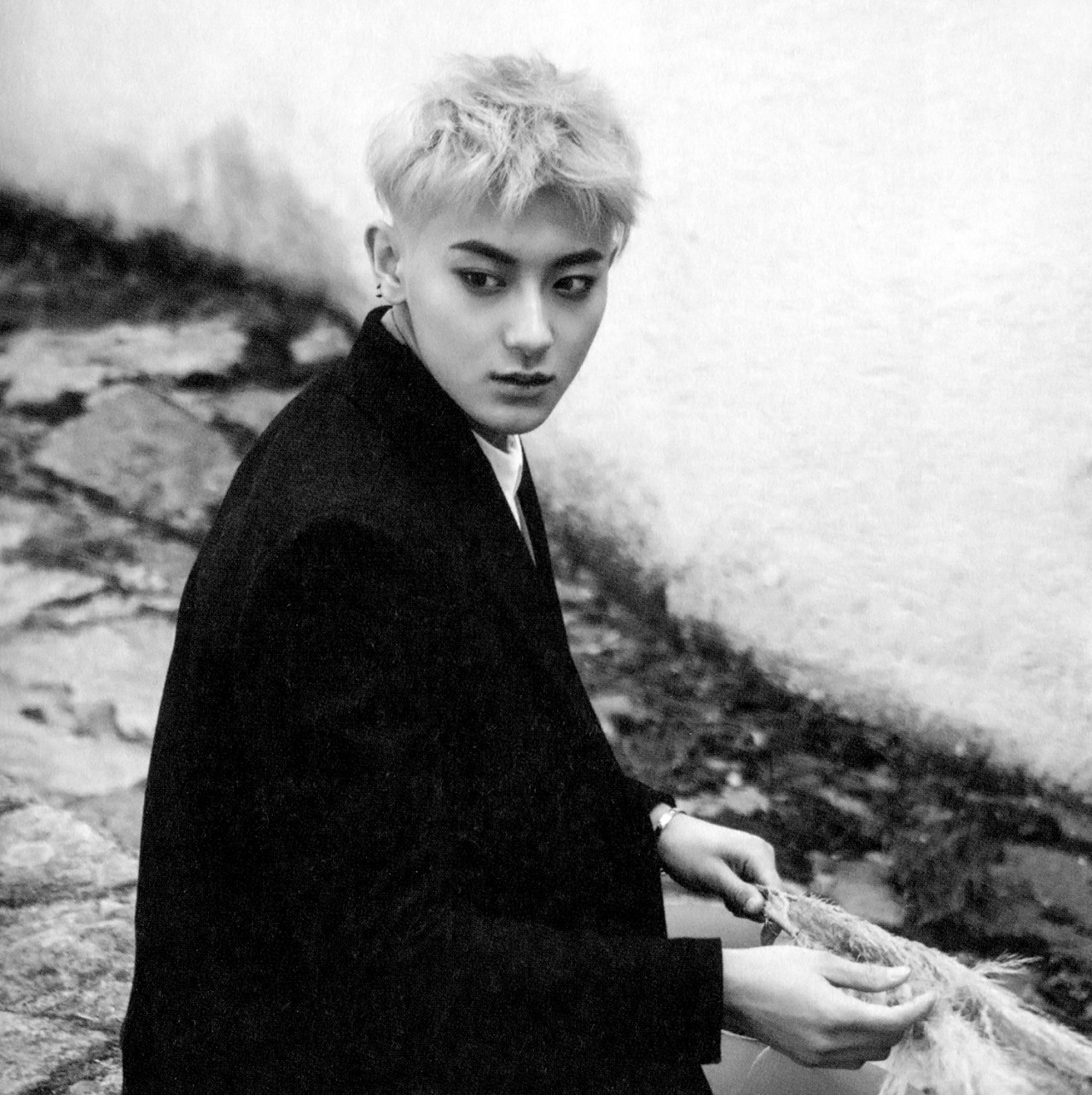 Sau lá thư giãi bày của bố, Tao vẫn im lặng. Ngày 23/4, trong bài phỏng vấn vơi Sina, bố Tao hé lộ con trai đã đồng ý yêu cầu hủy hợp đồng với công ty. 