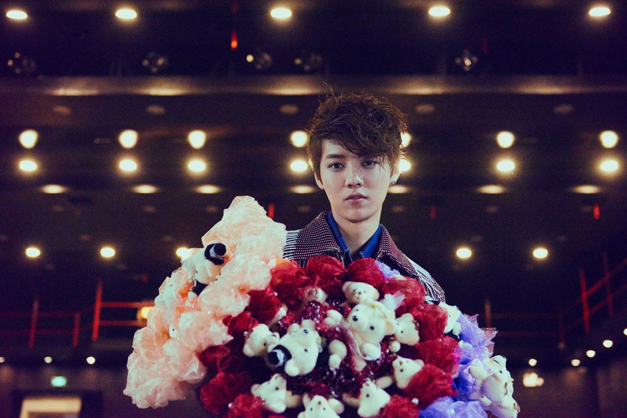 Ca sĩ nhạc pop được mô tả là “ông vua của thế giới thần tượng”, nổi danh khắp chốn một phần nhờ “quân đoàn người hâm mộ”. 