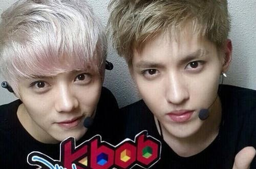 Kris va Luhan (EXO) chap nhan hoa giai voi SM hinh anh