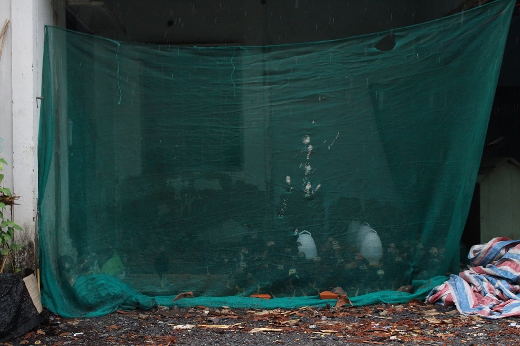 khu do thi moi Thu Thiem,  boi thuong dat dai,  ban do 1/5.000,  ban do quy hoach khu do thi moi Thu thiem,  quan 2 anh 3