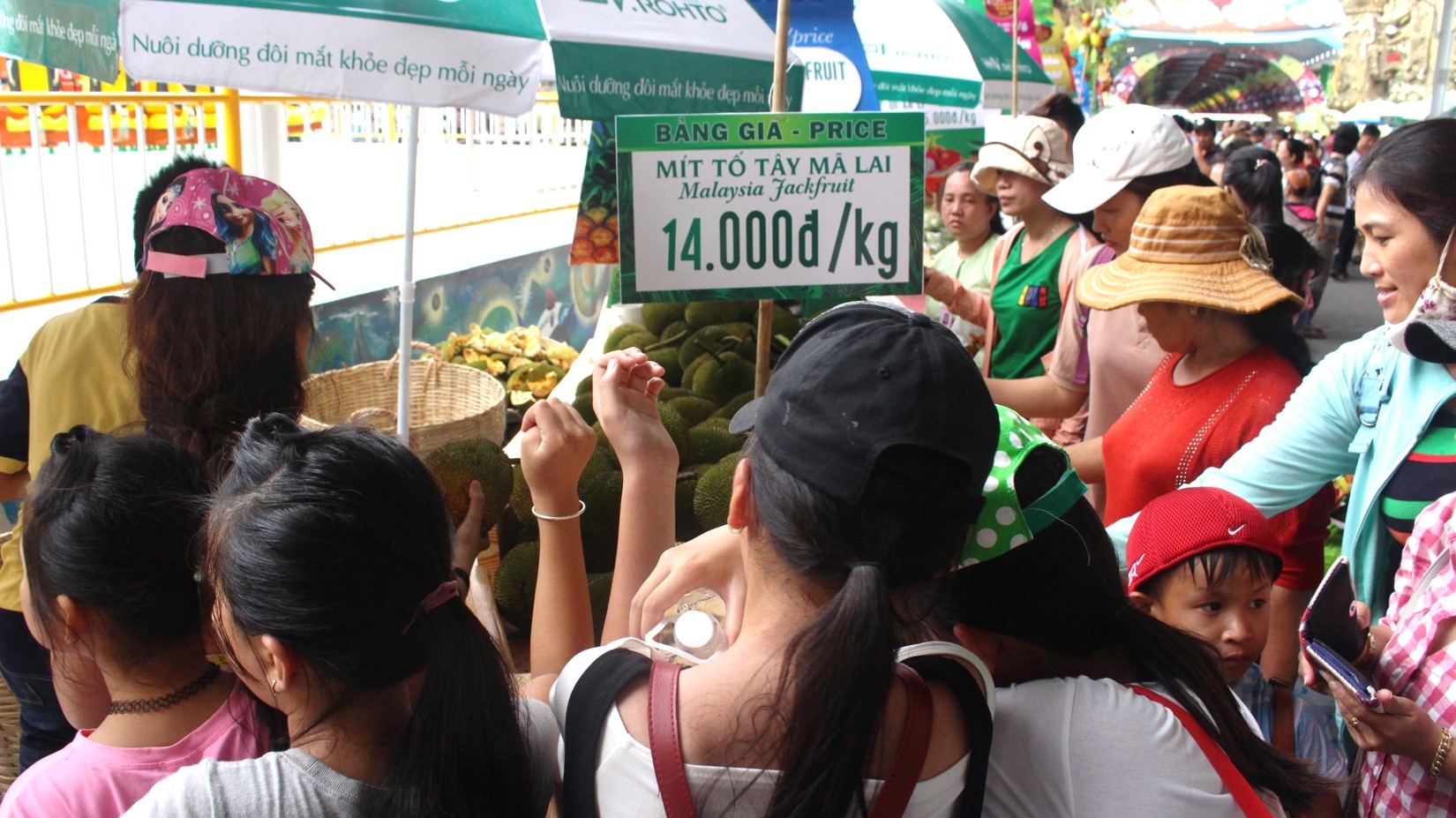 le hoi trai cay Nam bo anh 2