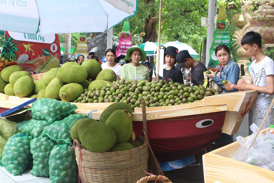 le hoi trai cay Nam bo anh 1