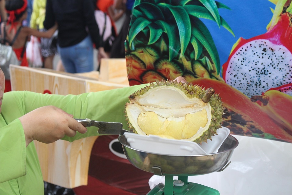 le hoi trai cay Nam bo anh 4