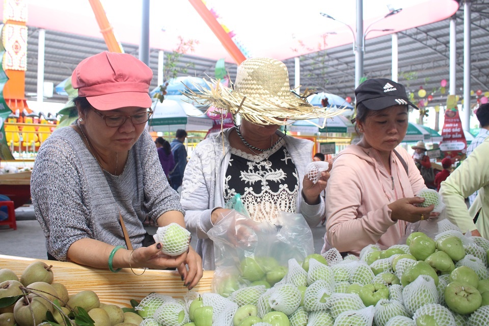 le hoi trai cay Nam bo anh 6