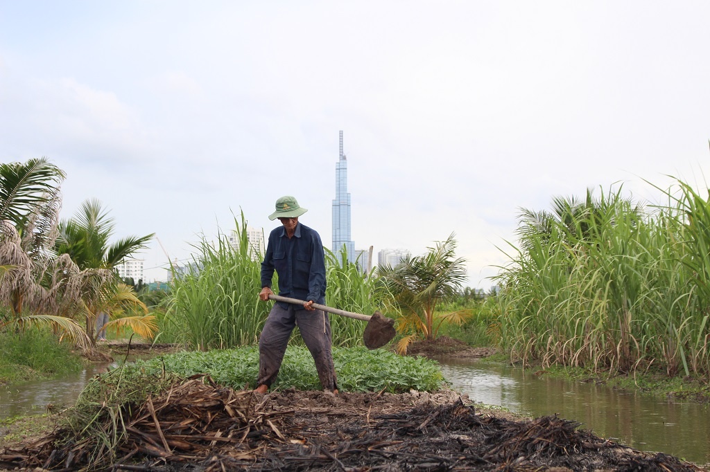 Du an Thanh Da treo 26 nam anh 1