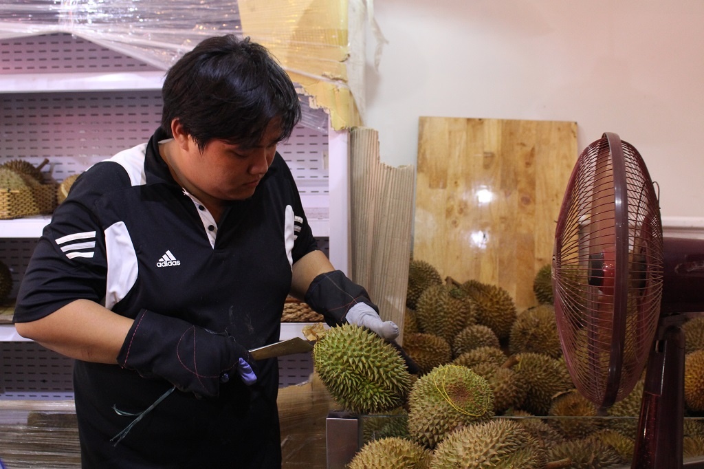 Sau rieng tra hat ve TPHCM anh 3