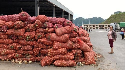 nong san Trung Quoc nhai hang Da Lat anh 2