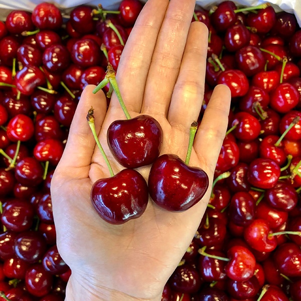 Trai cay nhap khau dat do hut nguoi Viet,  gioi nha giau Viet chi tien trieu mua trai cay nhap khau anh 3