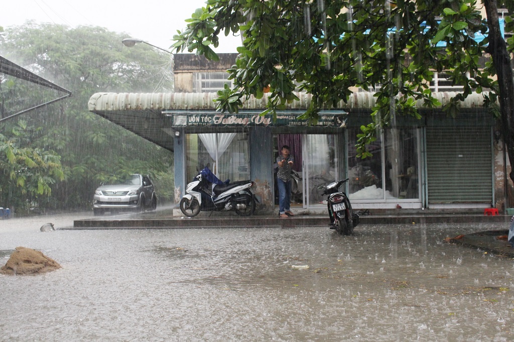 Canh do nat ben trong ngoi cho tien ty o TP.HCM,  cho tien ty bo hoang o TP.HCM anh 12