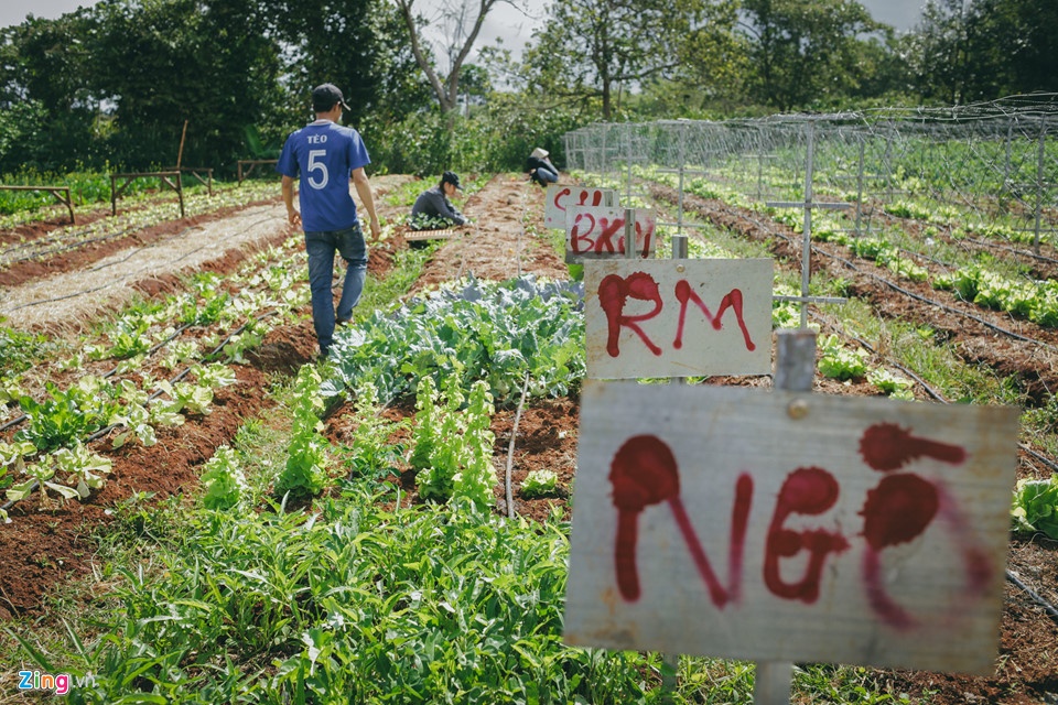 Đại biểu đề nghị khởi nghiệp quốc gia không thể là phong trào ảnh 2 Dai bieu de nghi khoi nghiep quoc gia khong the la phong trao anh 2