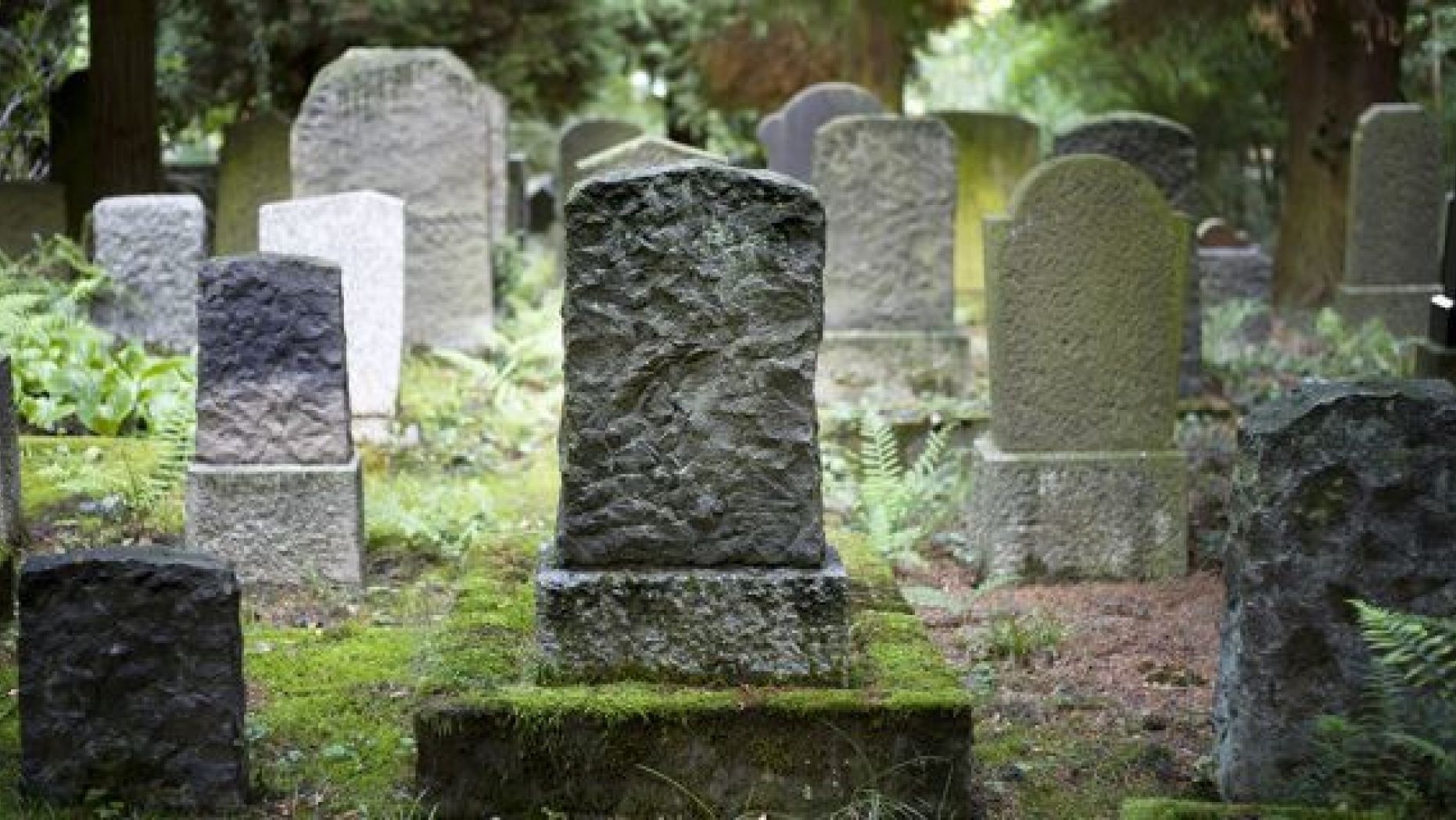 Nhung nghe nghiep dang so nhung nhieu tien nhat nuoc My anh 7