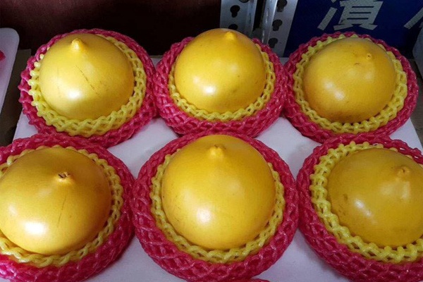 Vu sua vang la mat gia len toi 1 trieu dong/kg hinh anh