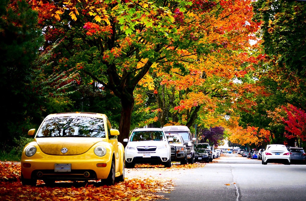 10 quoc gia giau nhat the gioi,  Quoc gia giau nhat the gioi khong phai la My? anh 8