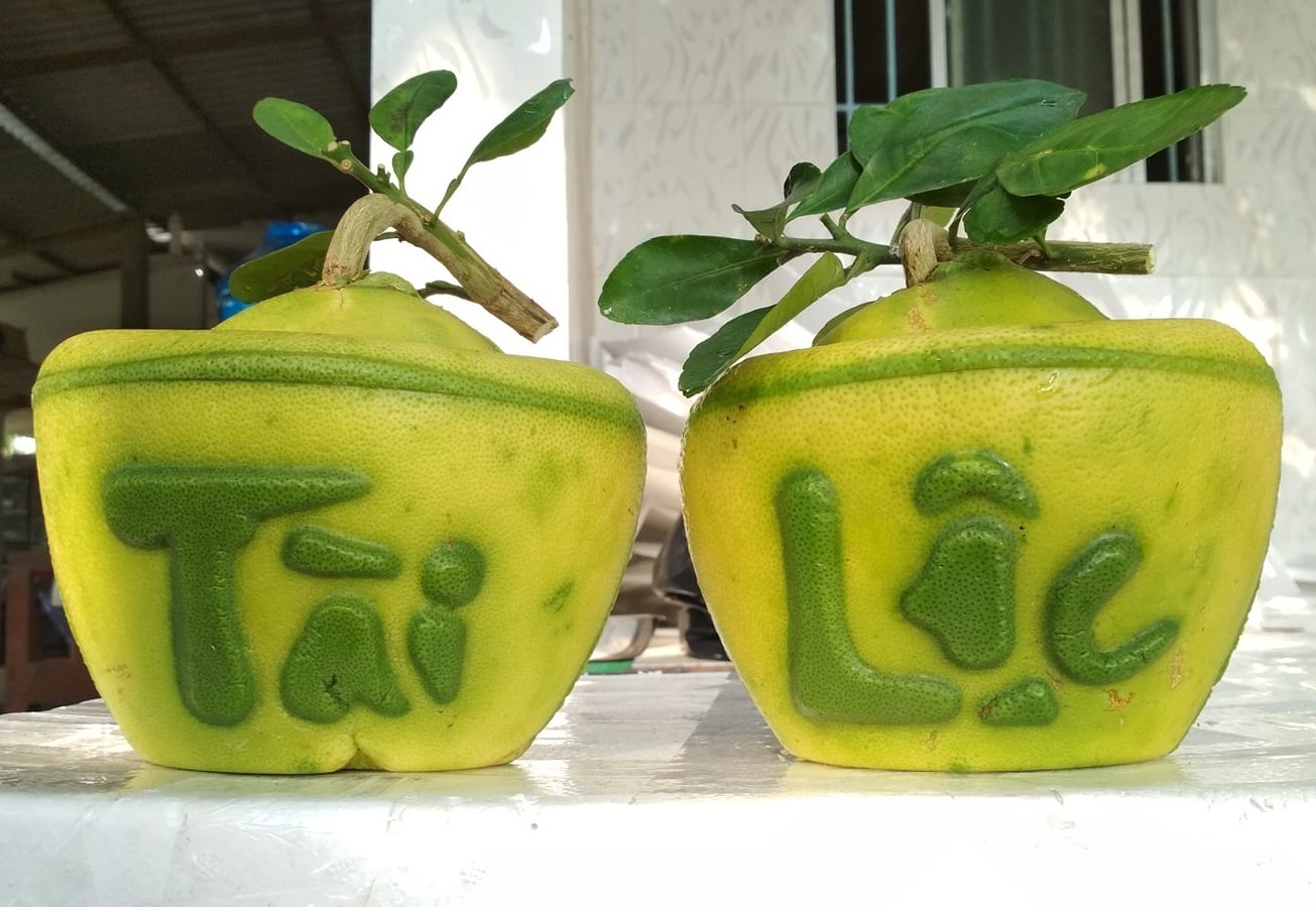 Chưa Tết, người Sài Gòn đã săn bưởi hồ lô, dưa thỏi vàng giá bạc triệu ảnh 2 Chua Tet, nguoi Sai Gon da san buoi ho lo, dua thoi vang gia bac trieu anh 2