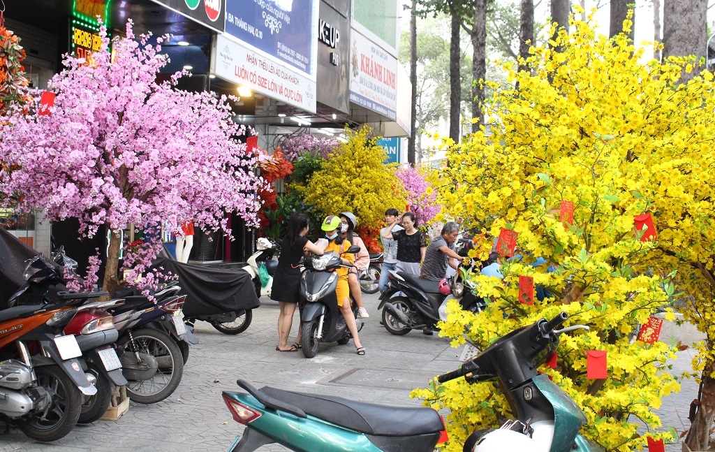Mai, dao gia gia toi hang chuc trieu dat hang o Sai Gon hinh anh