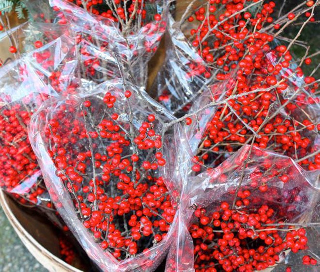 Nha giau Viet chi chuc trieu mua dao dong do, mai My choi Tet hinh anh