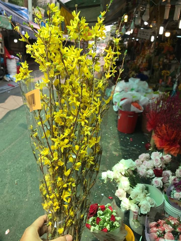 Nha giau Viet chi chuc trieu mua dao dong do,  mai My choi Tet anh 2