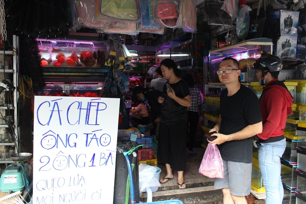 Nguoi Sai Gon mua ca Koi tien trieu tien ong Cong,  ong Tao anh 1