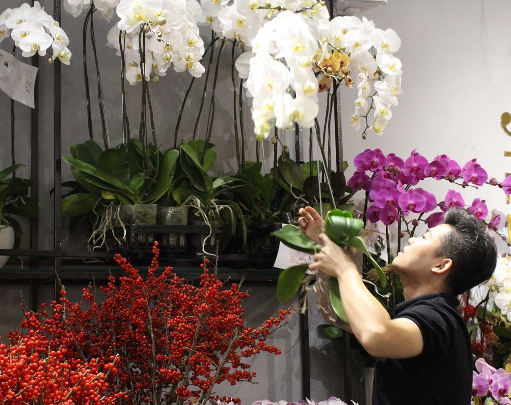 Nguoi Sai Gon mua dao trang Nhat gia vai chuc trieu mot binh chung Tet anh 2