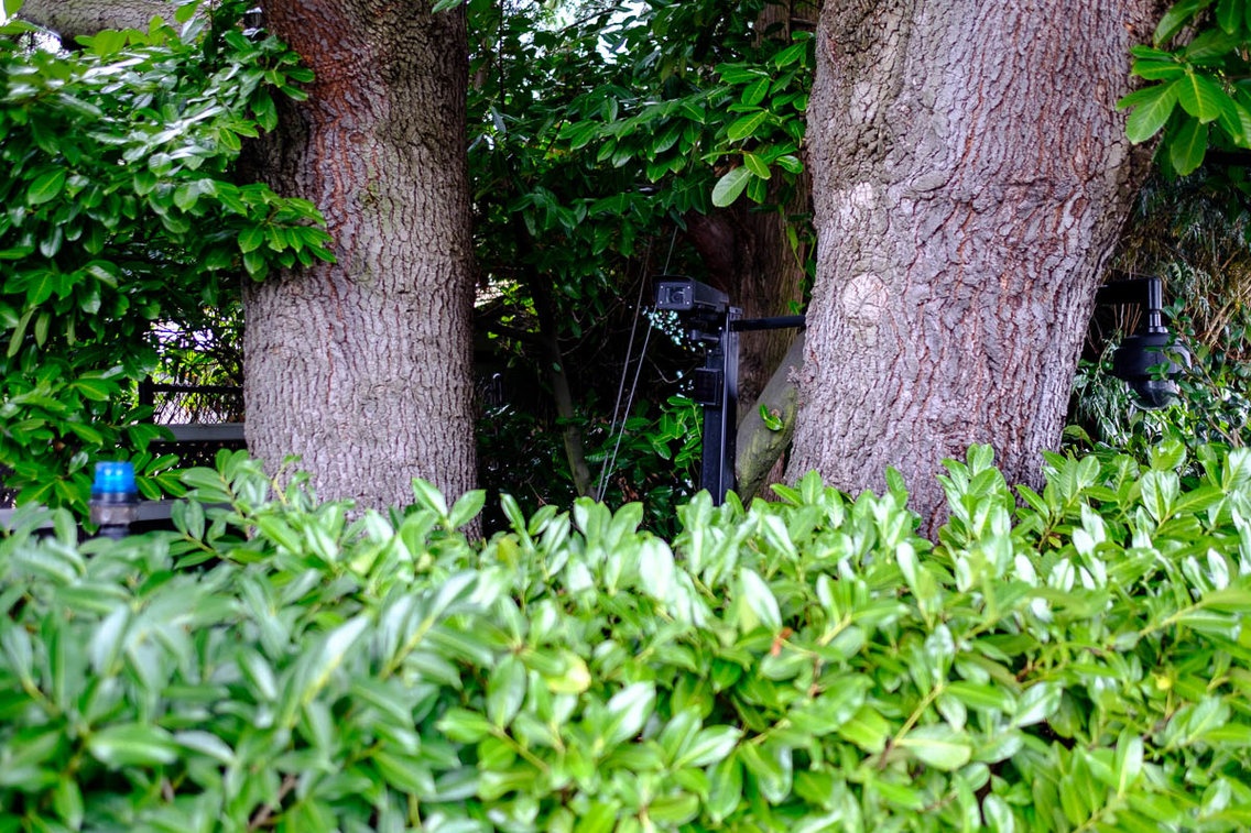 Can canh thanh pho co biet thu cua ty phu Jeff Bezos va Bill Gates cung sinh song anh 12