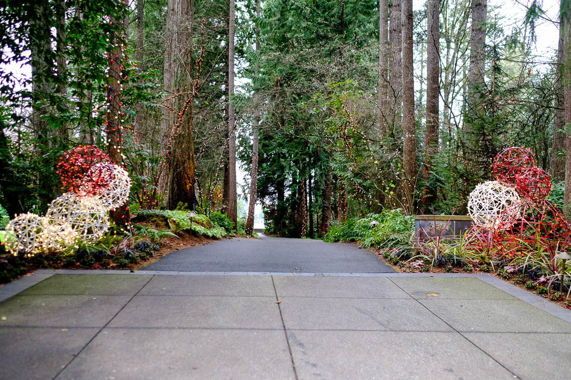 Can canh thanh pho co biet thu cua ty phu Jeff Bezos va Bill Gates cung sinh song anh 13