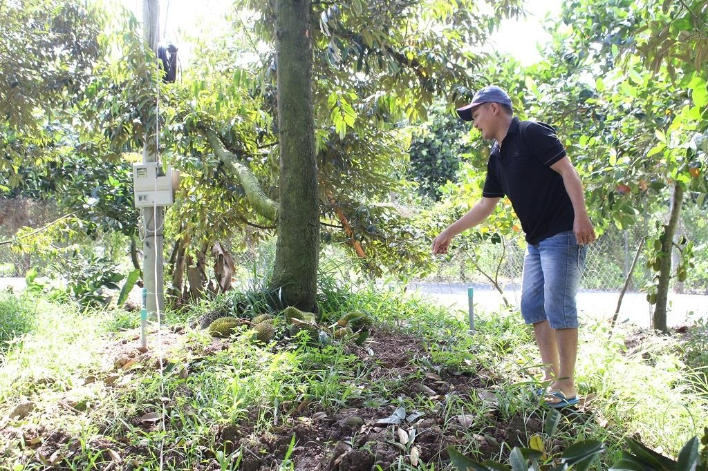 Trung Quoc tang mua,  trai cay len gia manh,  nong dan vua mung vua lo anh 1