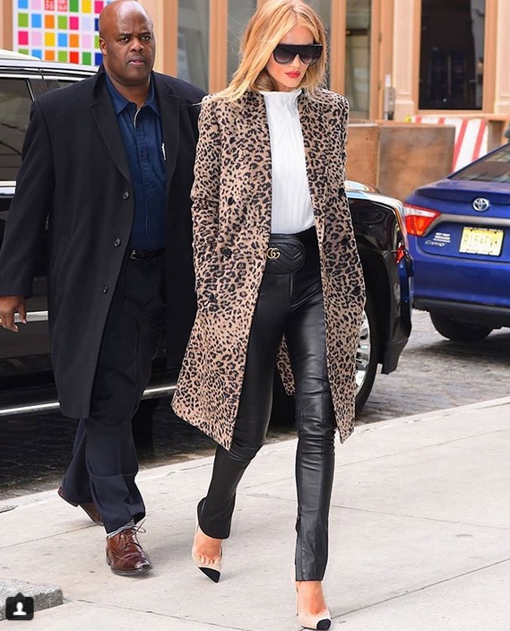 Rosie Huntington-Whiteley ảnh 7 Rosie Huntington-Whiteley anh 7