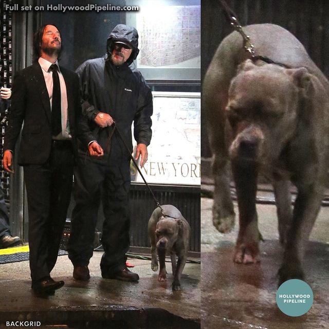 john wick 3 ảnh 1 john wick 3 anh 1