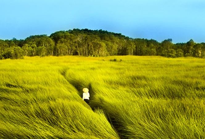 Am anh bi kich nhung phan nguoi co don tren 'Canh dong bat tan' hinh anh