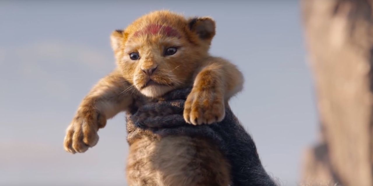 The Lion King ảnh 1 The Lion King anh 1