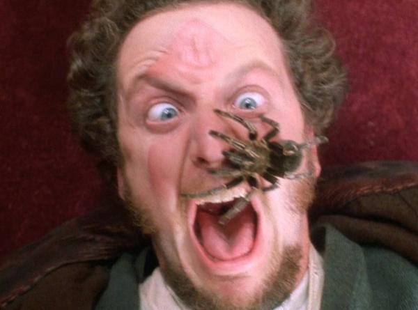 Home Alone ảnh 5 Home Alone anh 5