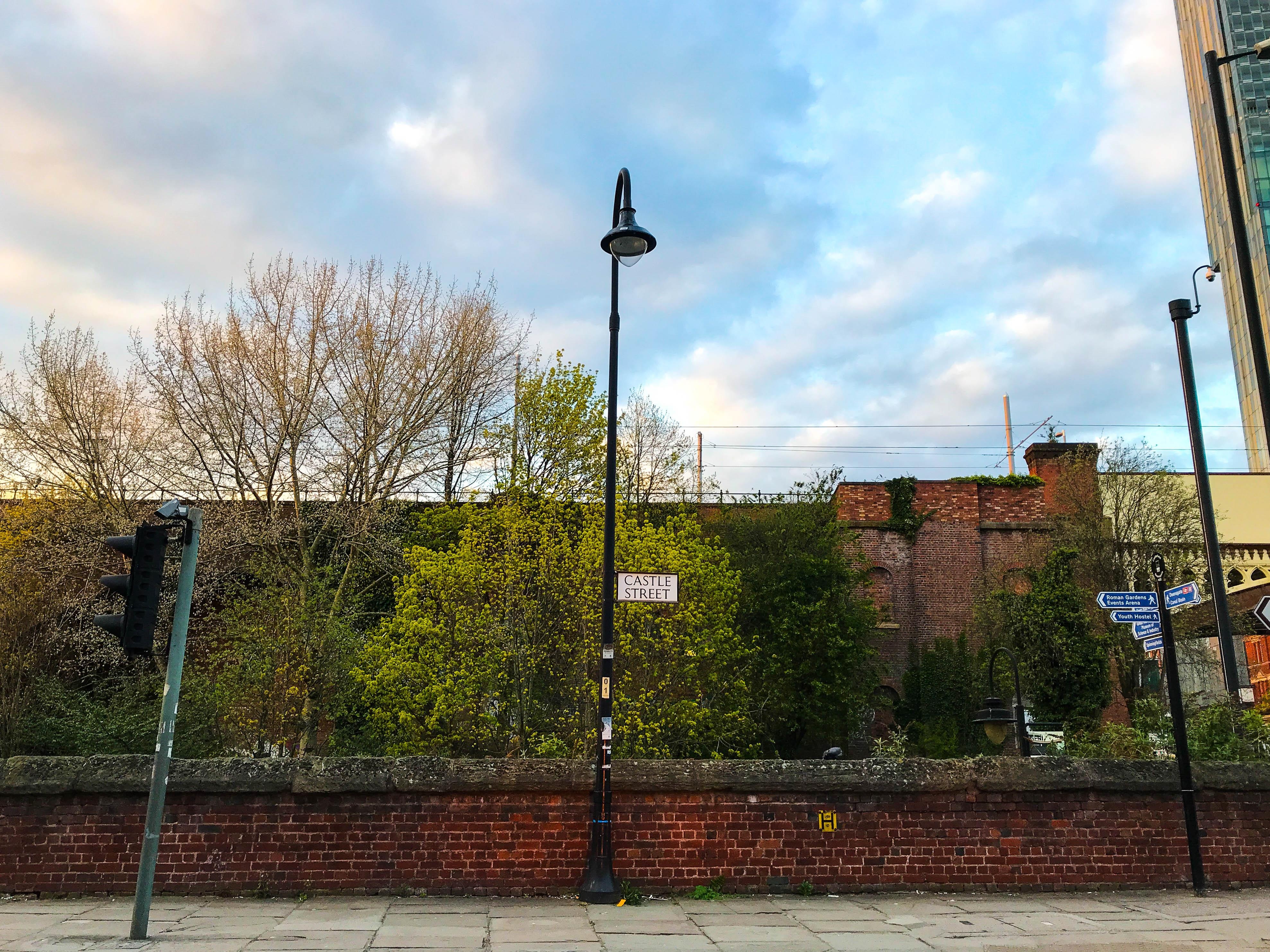 hoang hon tai Anh anh 5